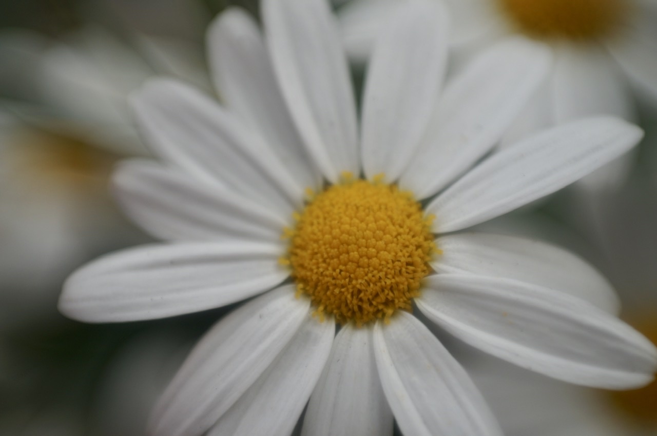 写真と音楽_c0180686_16575327.jpeg