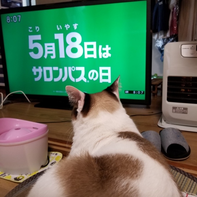 おしえてあげる_c0369492_15132588.jpg
