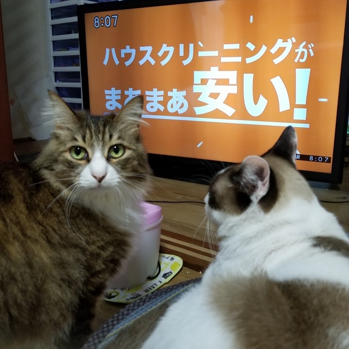 おしえてあげる_c0369492_15134345.jpg