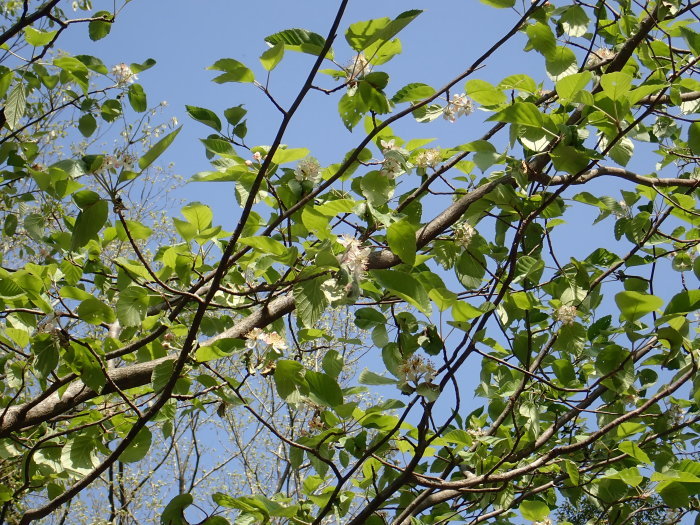 G.W 1_a0049296_18061197.jpg