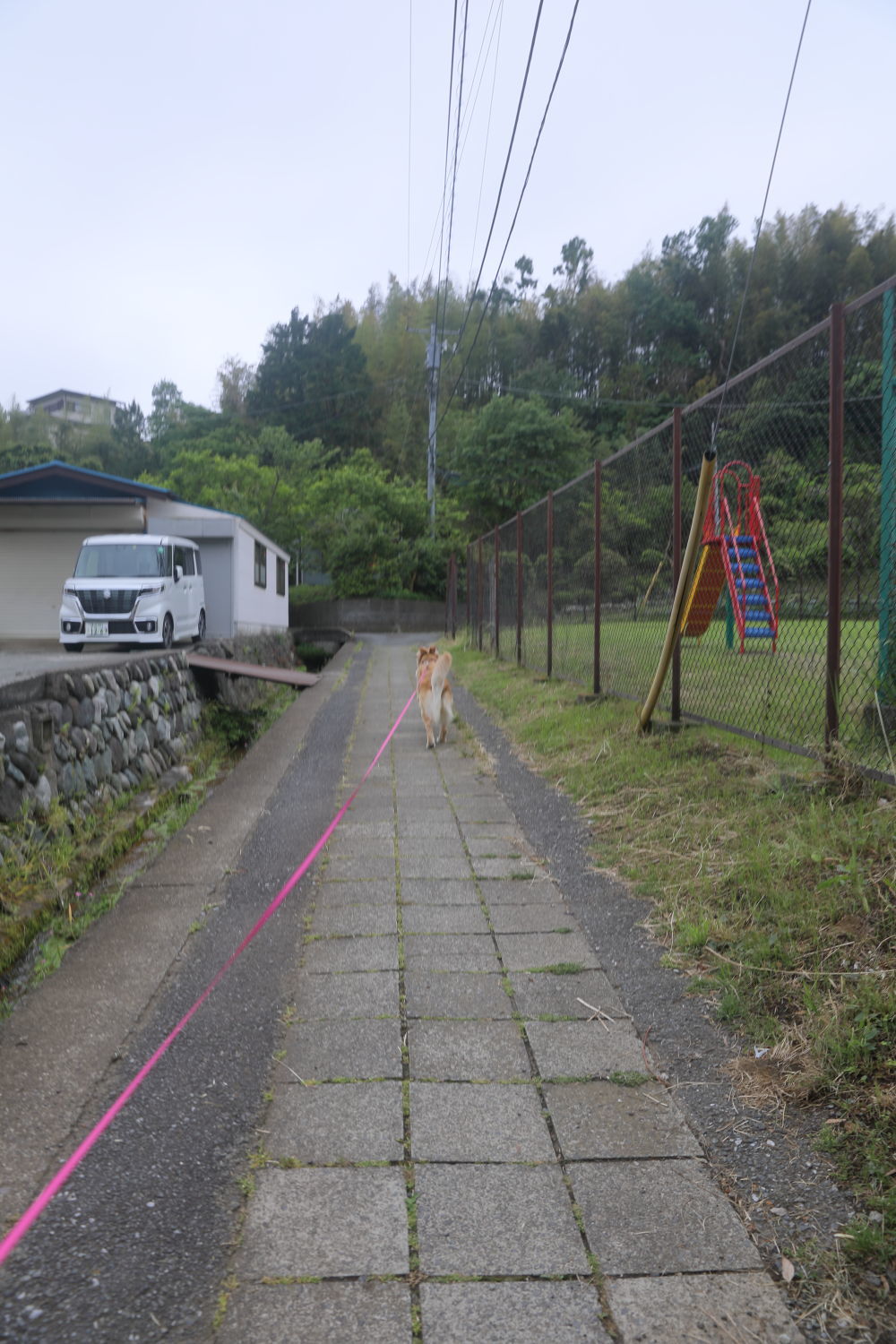 初めてのブーちゃんちのお庭♪_b0275998_11254544.jpg