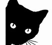 どっちが好み?_f0242002_16093890.jpg