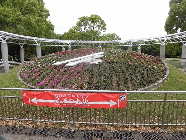 例年なら多くの人で賑わうはずが…満開のバラが切ない! 朝の散歩「中央公園コース」_f0141310_07410538.jpg