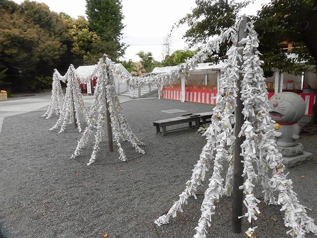 例年なら多くの人で賑わうはずが…満開のバラが切ない！　朝の散歩「中央公園コース」_f0141310_07413889.jpg