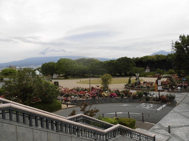 例年なら多くの人で賑わうはずが…満開のバラが切ない！　朝の散歩「中央公園コース」_f0141310_07420534.jpg