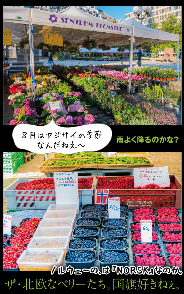 アート旅行に行こう!その72_a0358016_13475327.jpg