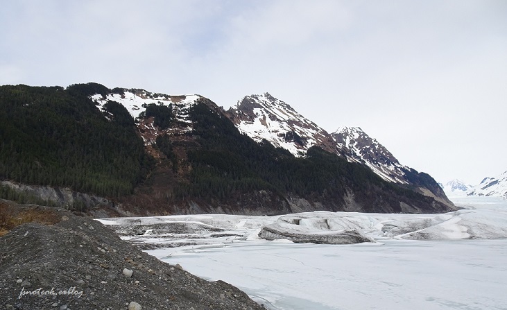 氷河 2020_d0356844_07093449.jpg
