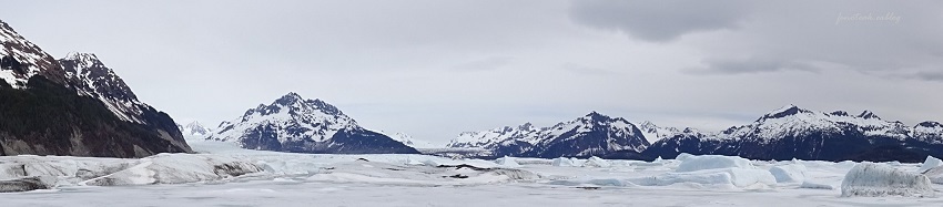 氷河 2020_d0356844_07104040.jpg