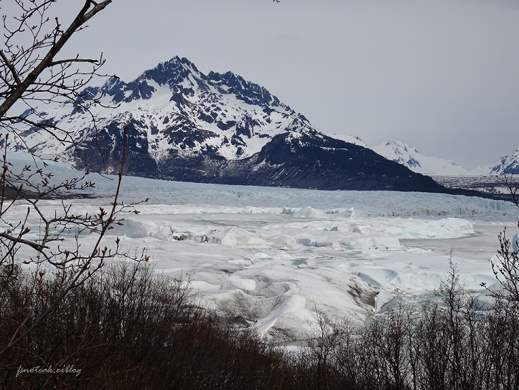 氷河 2020_d0356844_07130686.jpg