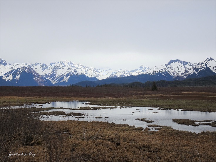 氷河 2020_d0356844_07231618.jpg
