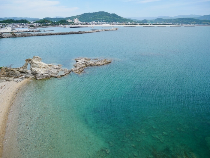   新和歌浦にて　　２０２０-０５-２２　００：００ 　　　　_b0093754_22492878.jpg