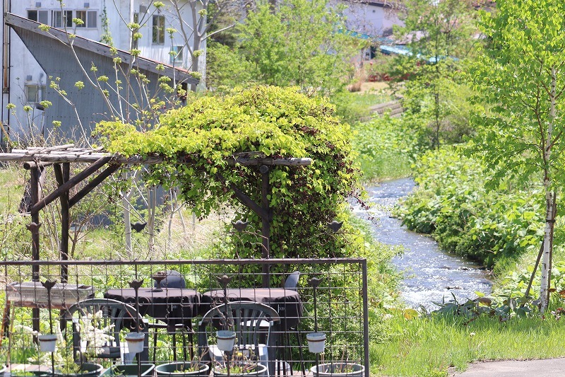 5月15日　森町　桜・花　散歩　8_b0250154_06085495.jpg