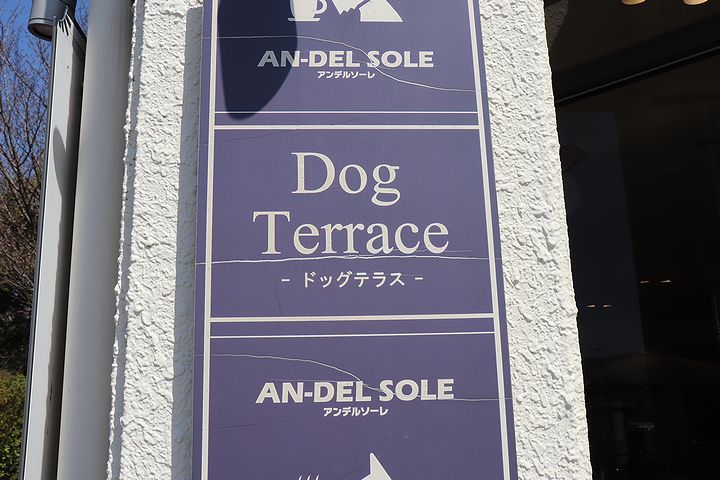 3月の誕生日旅行。_b0111376_15350521.jpg