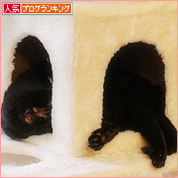 イレーネVSヒナ_a0389088_03000815.jpg