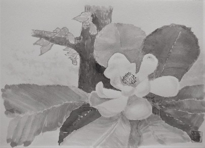 ホウの花の匂い_e0077899_10453342.jpg