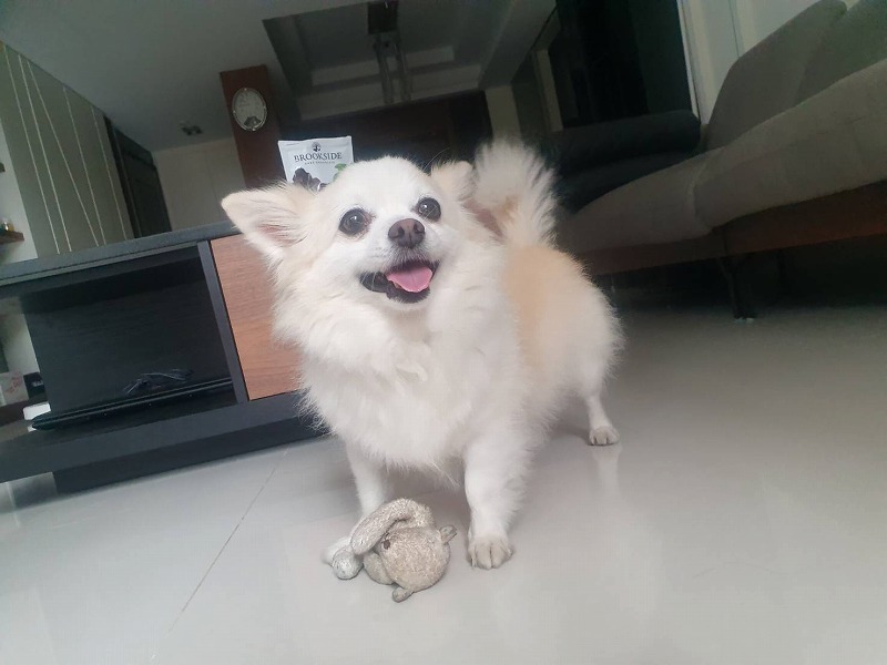 ラジオ体操 侮るなかれ メイフェの幸せ 美味しいいっぱい In 台湾 ラジオ体操 侮るなかれ メイフェの幸せ 美味しいいっぱい In 台湾