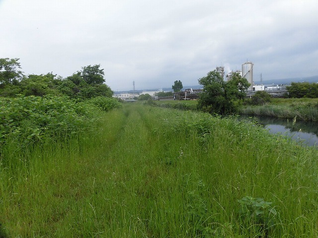 いや~結構歩いた12,000歩 そうだ!沼川プロジェクトの「滝川コース」の朝散歩_f0141310_07443761.jpg