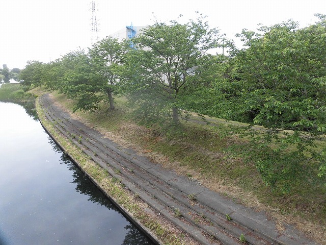 いや~結構歩いた12,000歩 そうだ!沼川プロジェクトの「滝川コース」の朝散歩_f0141310_07462163.jpg