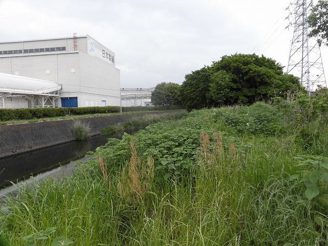いや~結構歩いた12,000歩 そうだ!沼川プロジェクトの「滝川コース」の朝散歩_f0141310_07534152.jpg