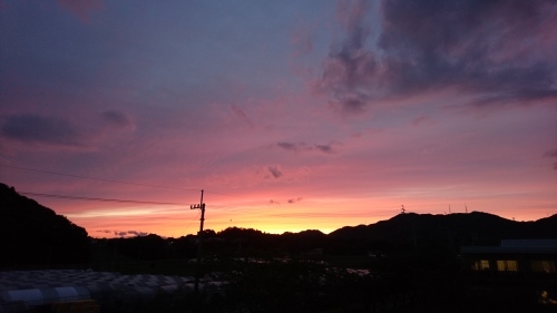 今日の1枚_c0219018_19220119.jpg