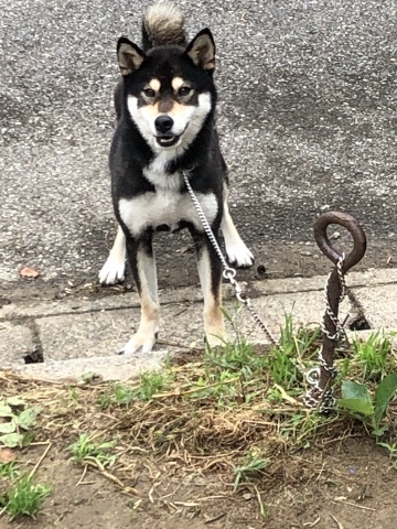 _f0078320_16465829.jpeg