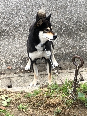 _f0078320_16471213.jpeg