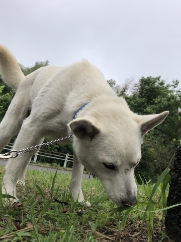 _f0078320_16492082.jpeg