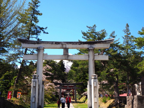 岩木山神社の桜*2020.05.05_b0147224_106109.jpg