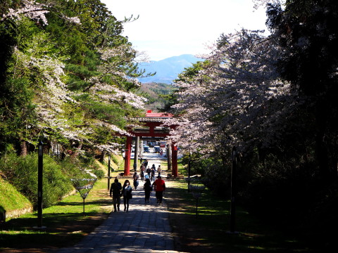 岩木山神社の桜*2020.05.05_b0147224_1075678.jpg