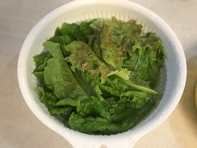 自家菜園の楽しみ_b0100062_09541796.jpeg