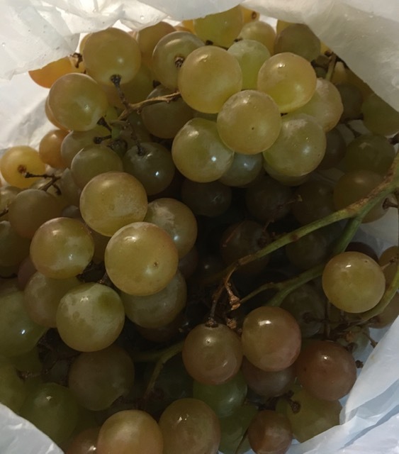 Weee!(アジア食品宅配サービス)-卵豆腐、黒豚などなど_e0350971_22554453.jpg