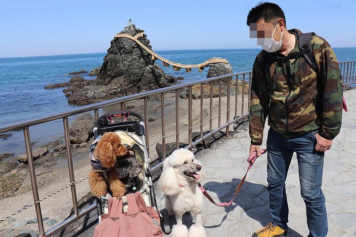 二見浦輿玉神社と夫婦岩【誕生日旅行2】_b0111376_14583179.jpg