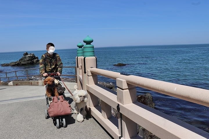 二見浦輿玉神社と夫婦岩【誕生日旅行2】_b0111376_15100953.jpg