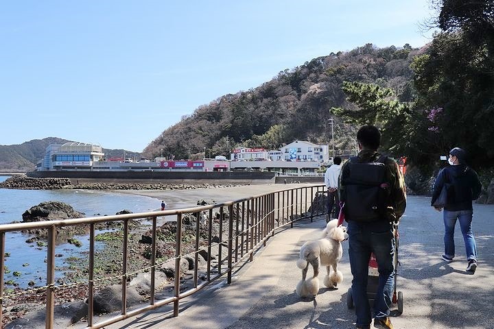 二見浦輿玉神社と夫婦岩【誕生日旅行2】_b0111376_15141809.jpg