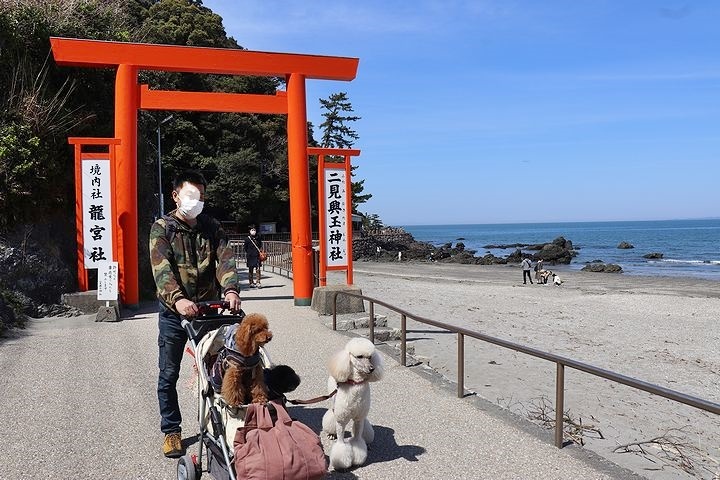 二見浦輿玉神社と夫婦岩【誕生日旅行2】_b0111376_15232426.jpg