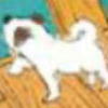 《 おこん 春 暦 》_c0328479_23565635.jpg