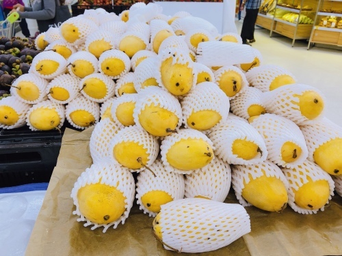 実りのシーズン_f0144385_12013035.jpeg