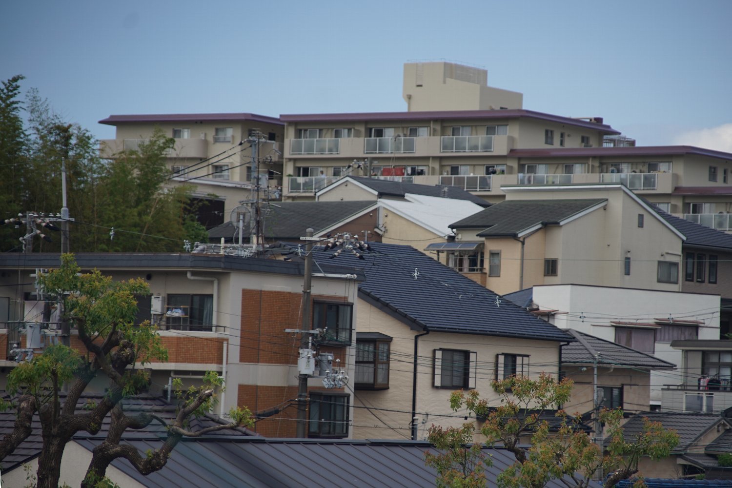 小堀製作所 テフノン70-210mm F3.5 で 散歩_b0069128_09490529.jpg