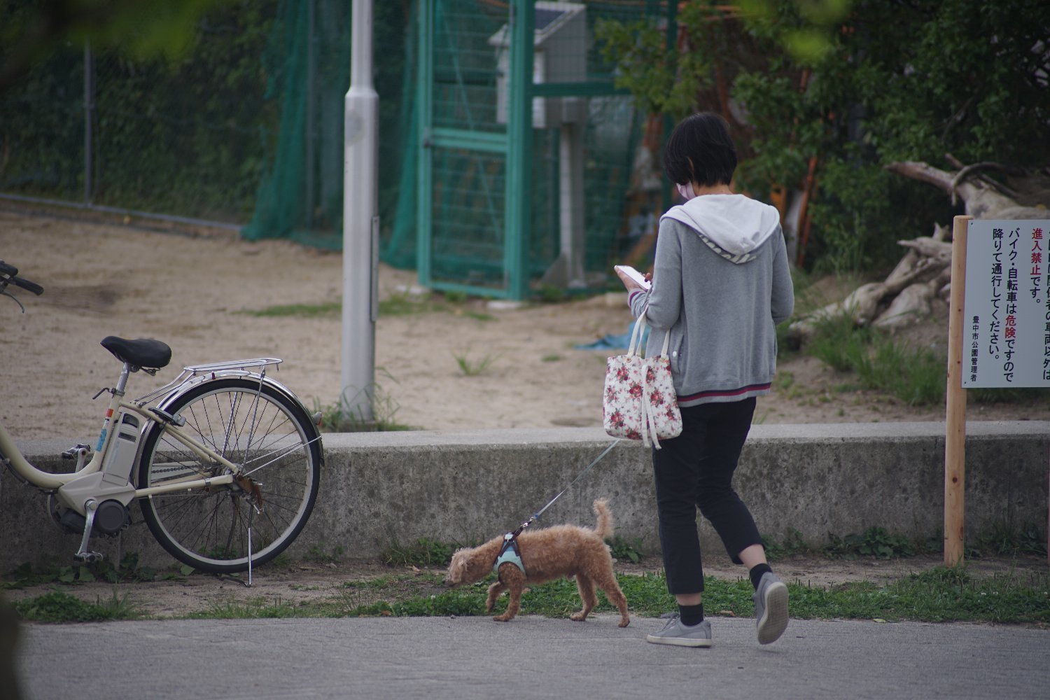 小堀製作所 テフノン70-210mm F3.5 で 散歩_b0069128_09511832.jpg