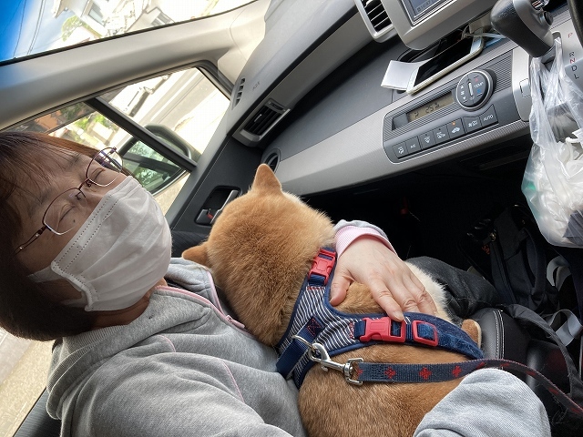 犬にも春が来た?_e0374932_06412202.jpg