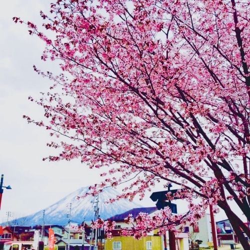 三か月!_c0350839_11283201.jpeg