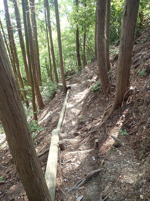 軽登山というマイクロツーリズムを楽しむ（前編）　～人を避けて足腰を鍛える（２）～_f0140054_08215932.jpg