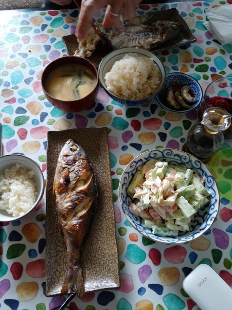 イサキの塩焼き定食🐟_c0162773_19103616.jpg