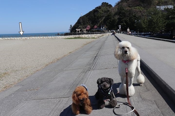 砂利の海岸で♪【誕生日旅行3】_b0111376_15235651.jpg
