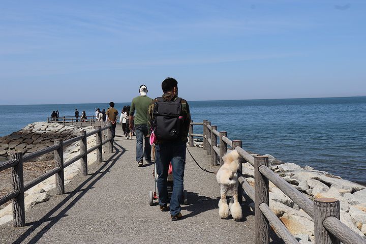 砂利の海岸で♪【誕生日旅行３】_b0111376_15243310.jpg