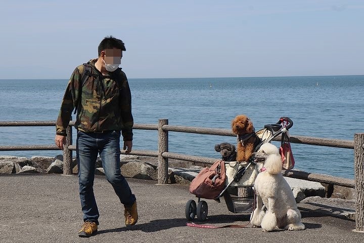 砂利の海岸で♪【誕生日旅行３】_b0111376_15290702.jpg