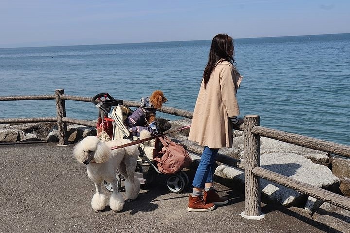 砂利の海岸で♪【誕生日旅行3】_b0111376_15295371.jpg