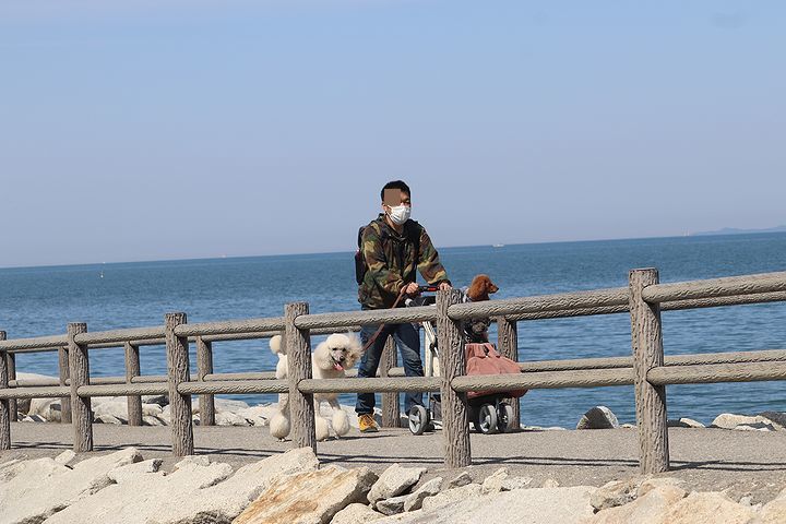 砂利の海岸で♪【誕生日旅行3】_b0111376_15333064.jpg
