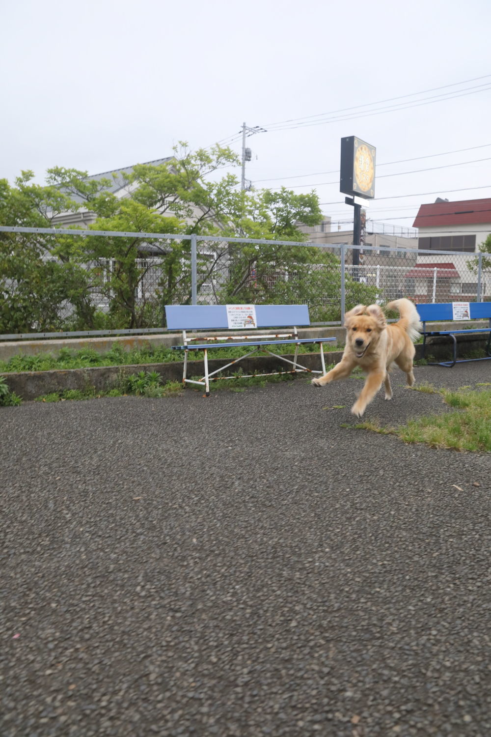 もうひとつの名前の由来♪_b0275998_12054450.jpg