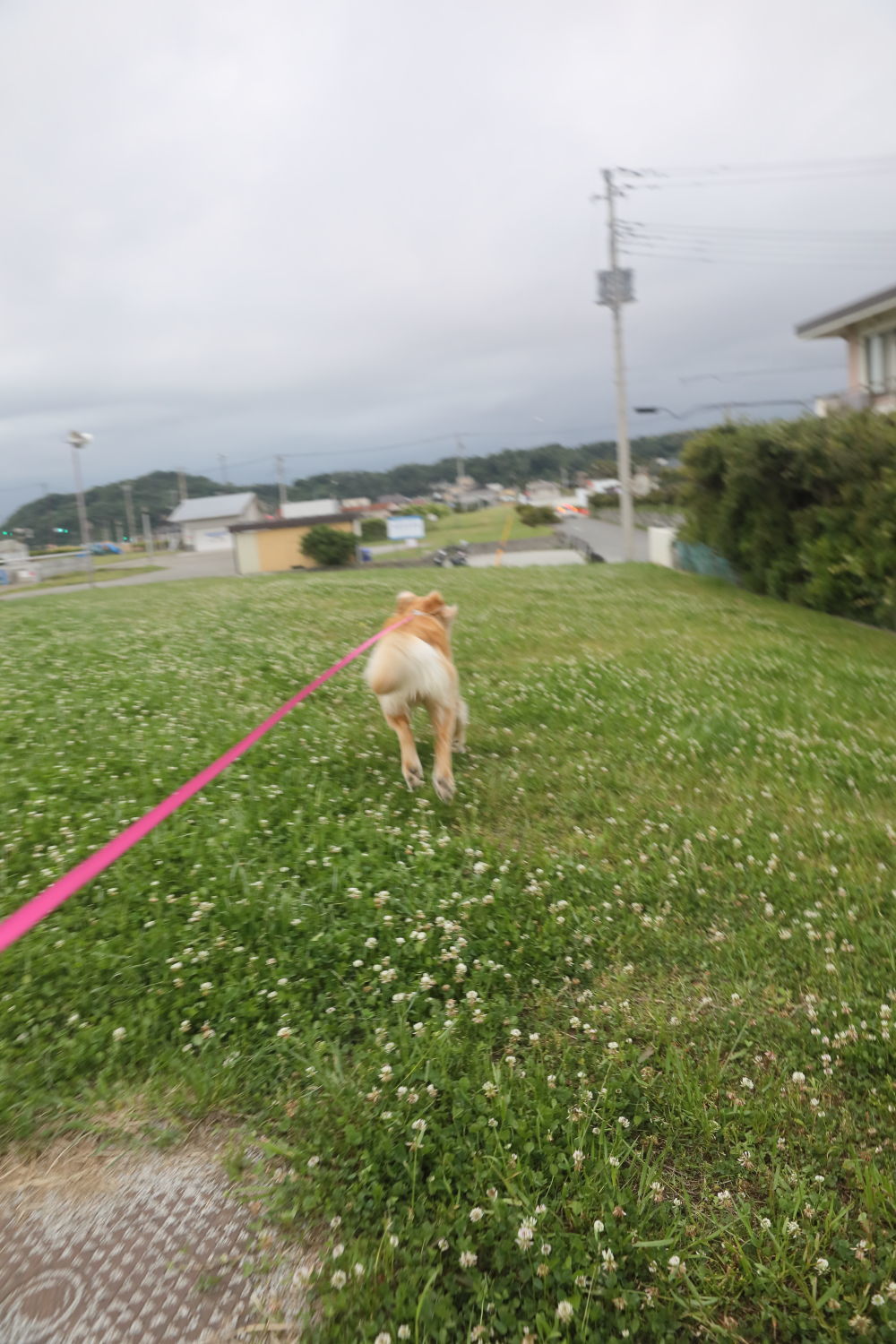 もうひとつの名前の由来♪_b0275998_12091503.jpg